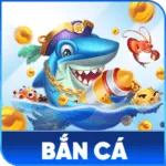 Bắn cá S8